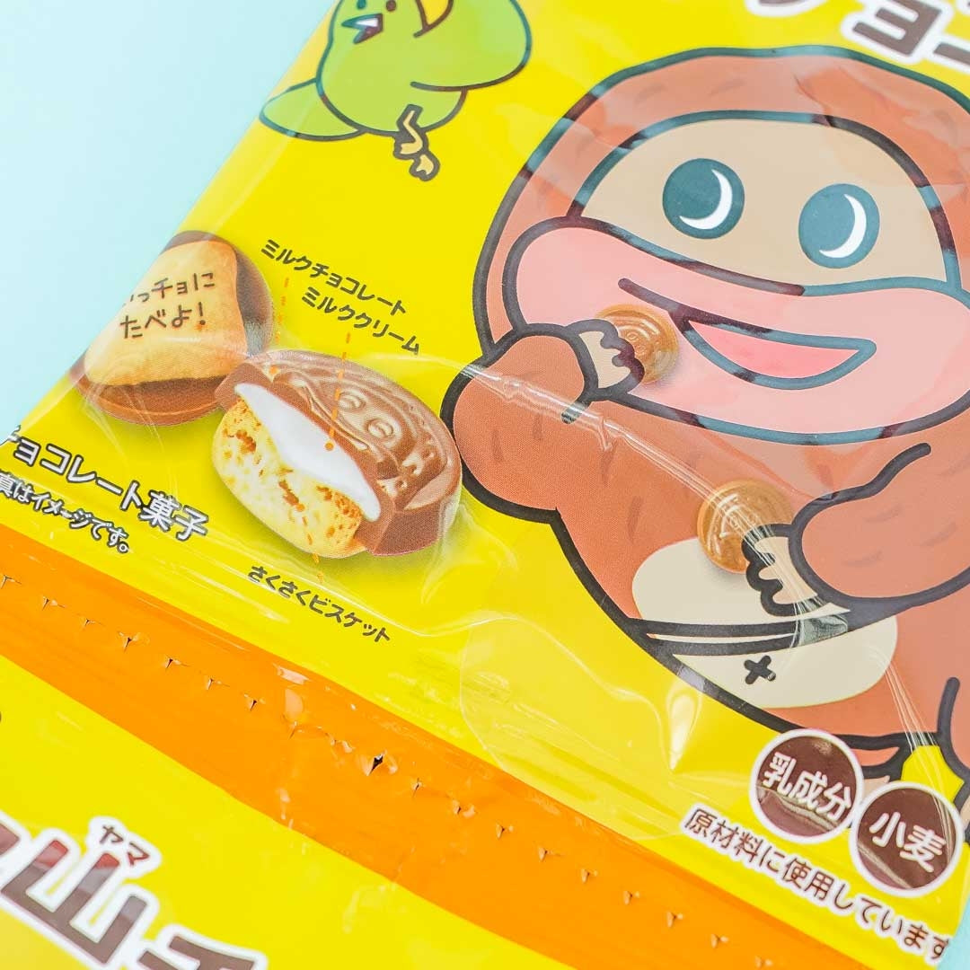 Shoei Delicy Choco Jiro Biscuits Mini Pack - 4 pcs