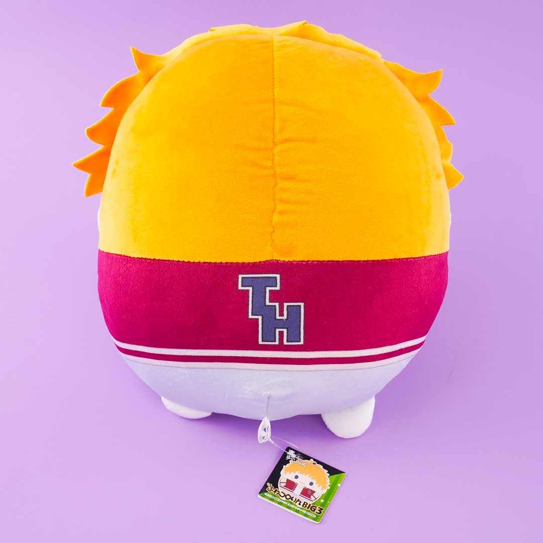 Tokyo Revengers Fuwakororin Fat Plushie - Takemichi Hanagaki / Big
