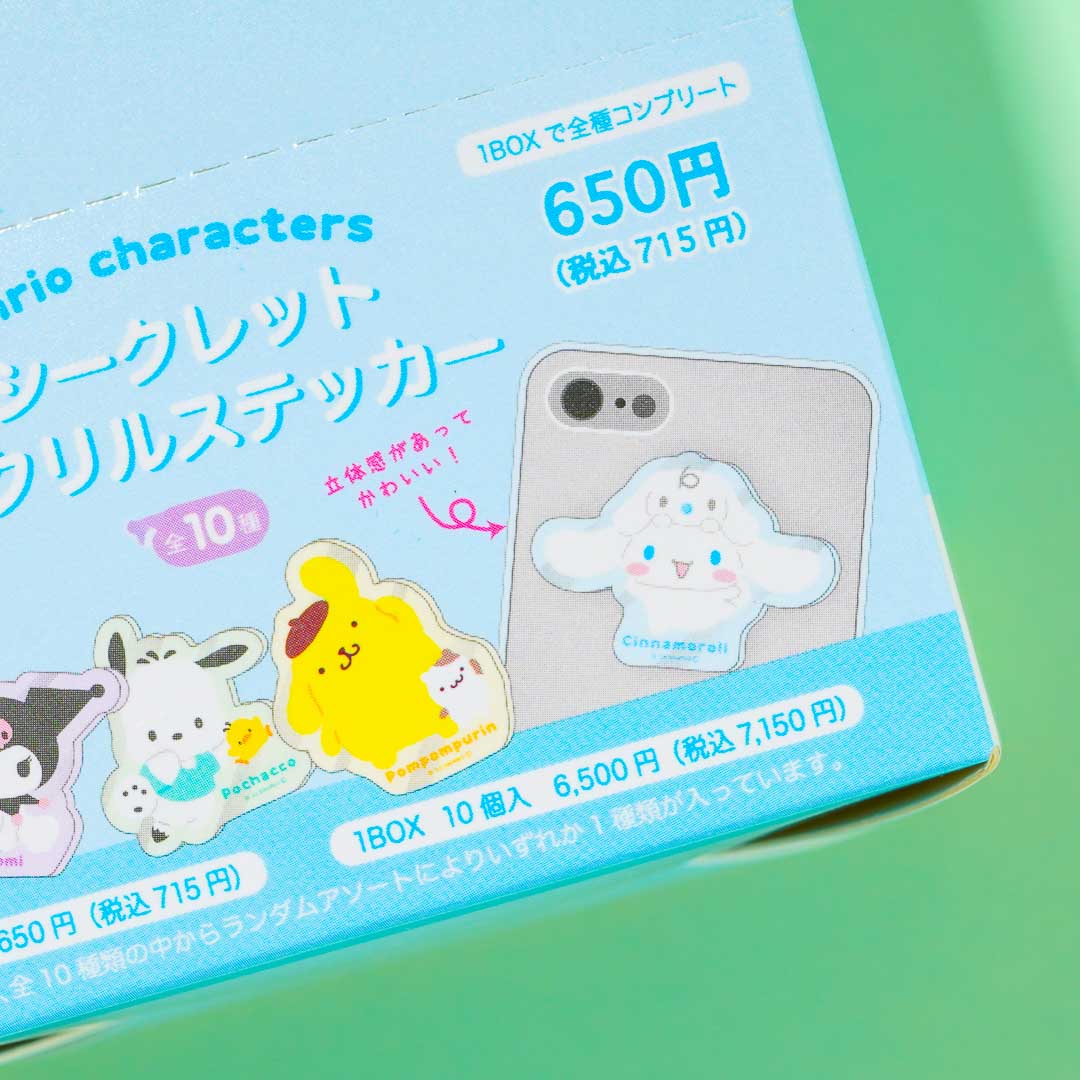 Sanrio Characters Little Friend Acrylic Sticker