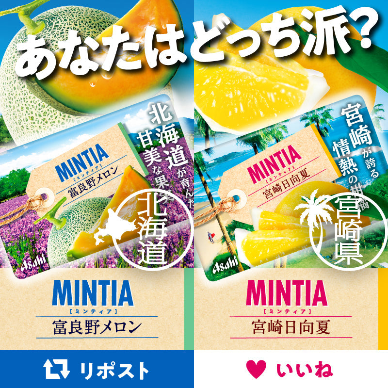 Asahi Mintia Mints - Furano Melon