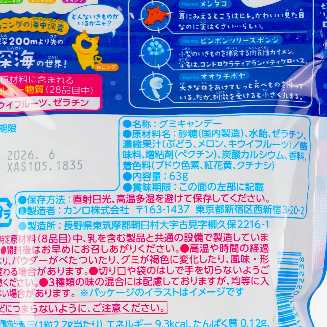 Kanro Puré Ring Gummy - Assorted Fruit Soda