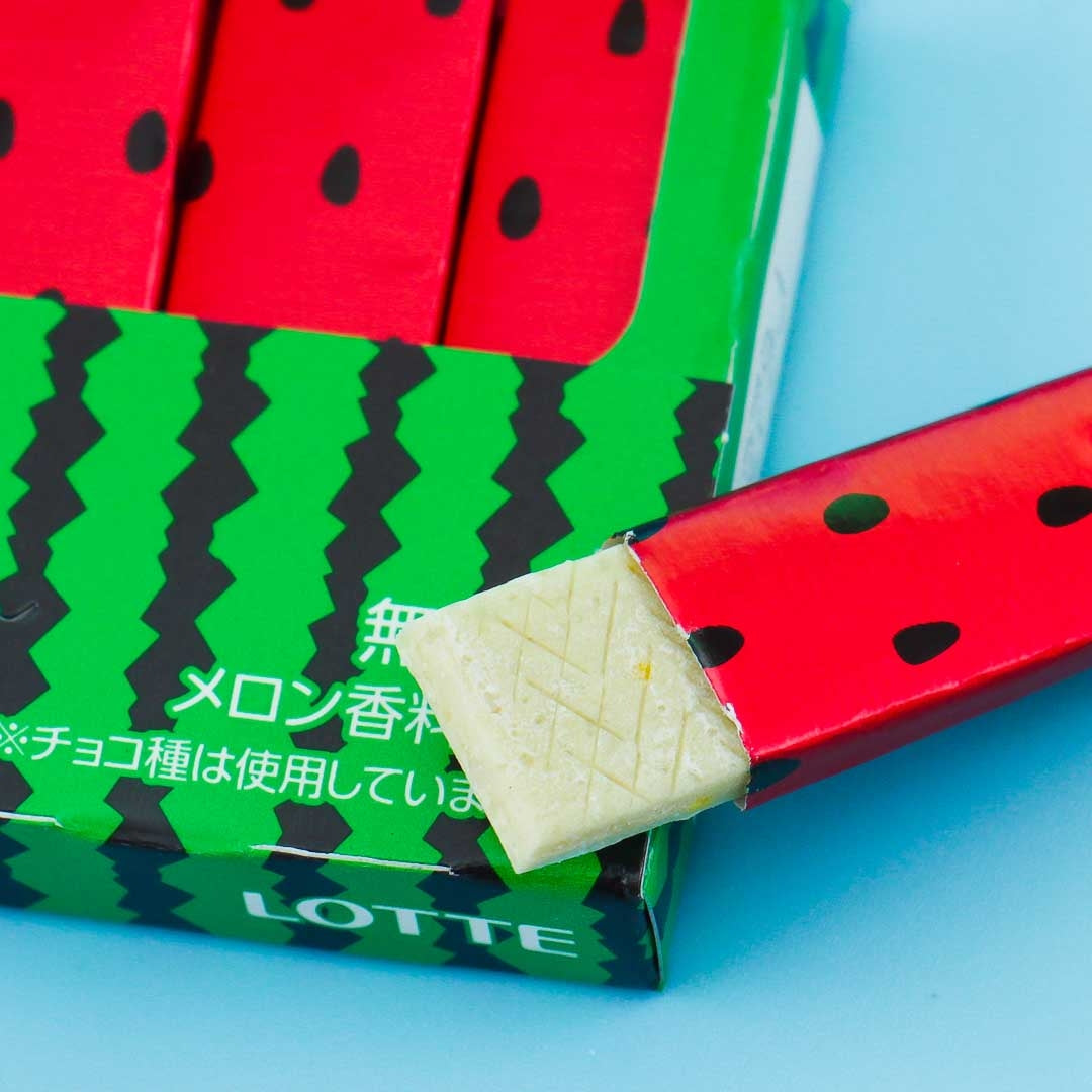 Lotte Fit's Gum - Melon & Watermelon Mix