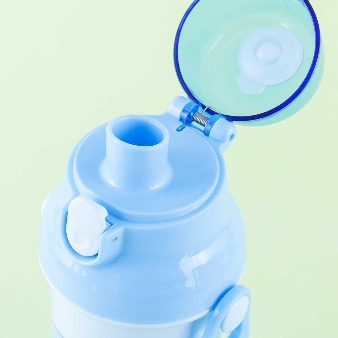 Cinnamoroll Party Time Water Bottle