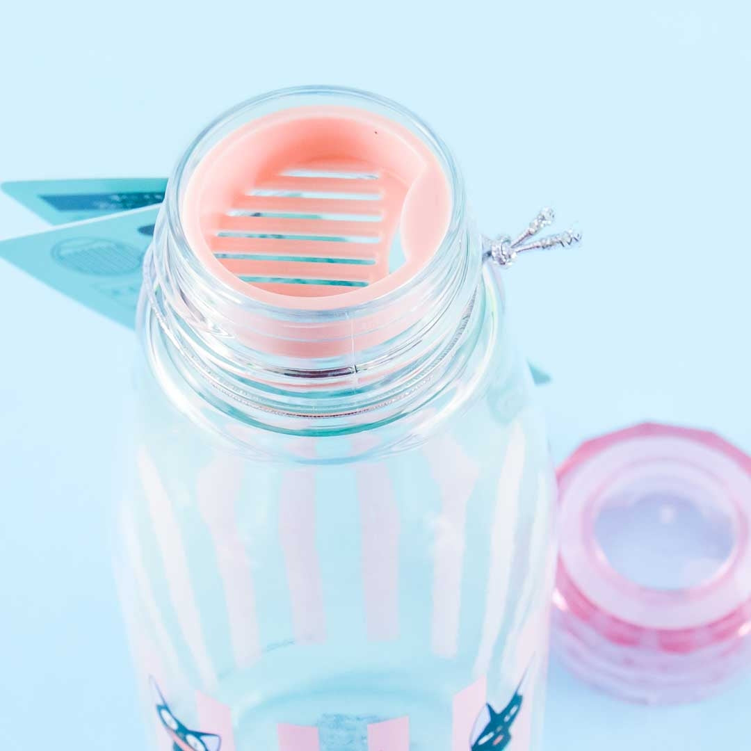 Kiki's Delivery Service Jiji Expressions Water Bottle