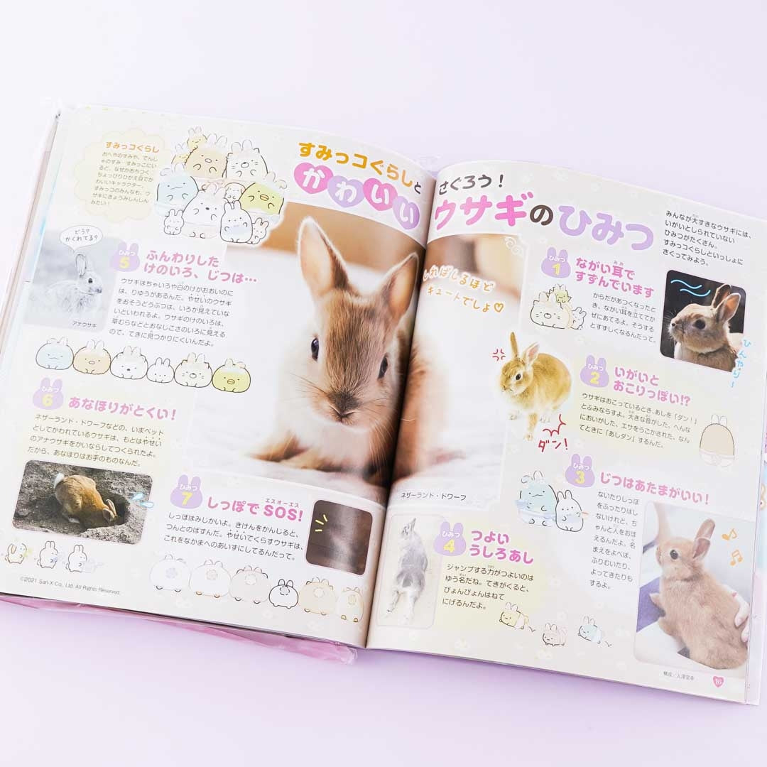 Mofumofuhime Cute Animals Magazine