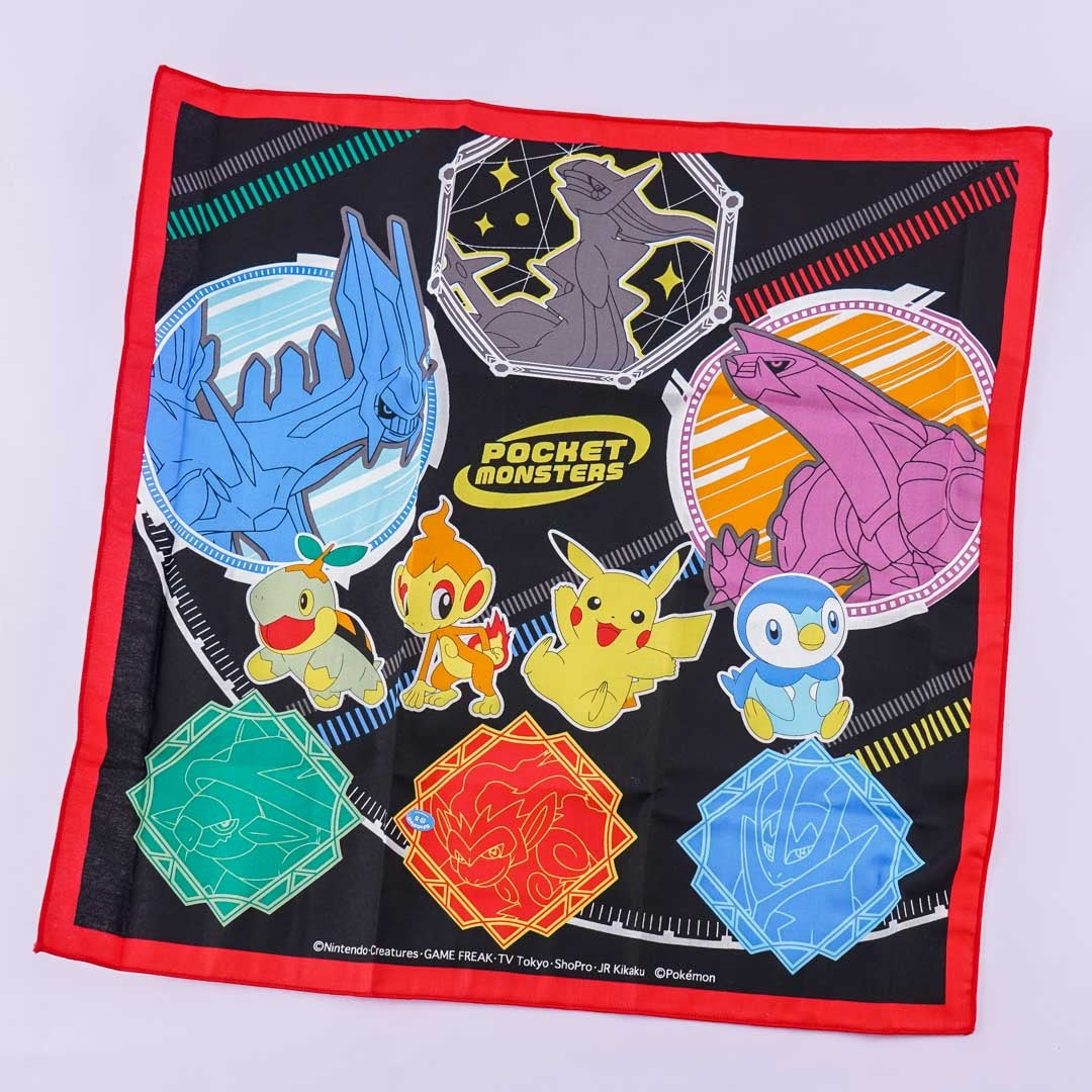 Pokemon Lunch Cloth