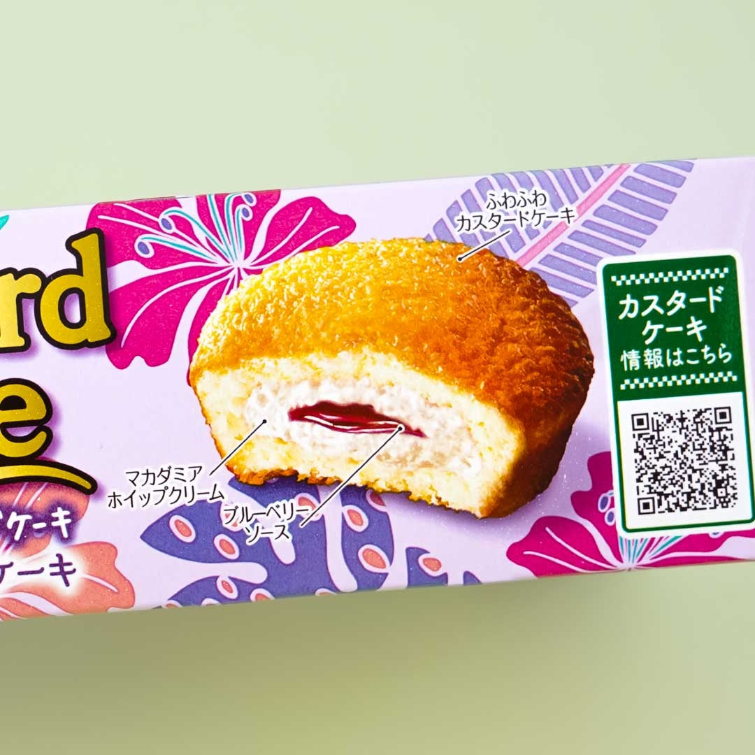 Lotte Blueberry Pancake Custard Cake