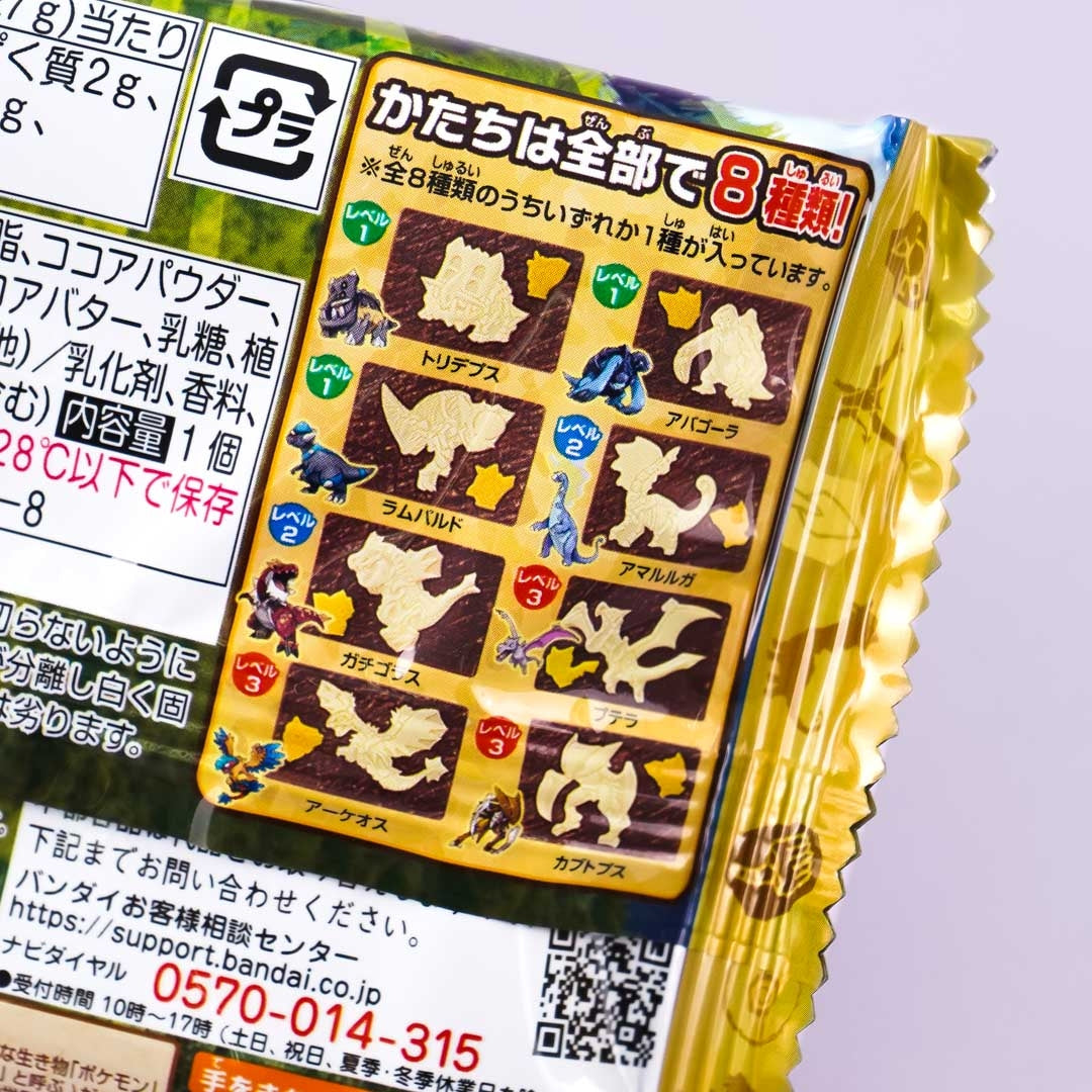 Charapaki Pokémon Excavation Chocolate