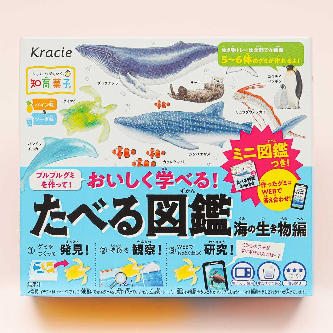Kracie Learning Encyclopedia Of Sea Creatures DIY Gummy Kit
