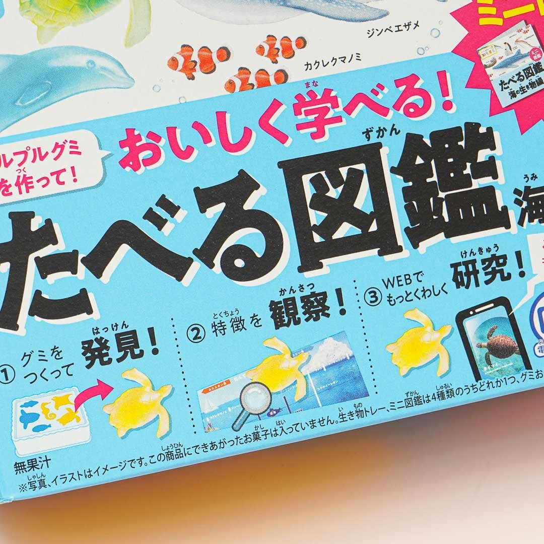 Kracie Learning Encyclopedia Of Sea Creatures DIY Gummy Kit