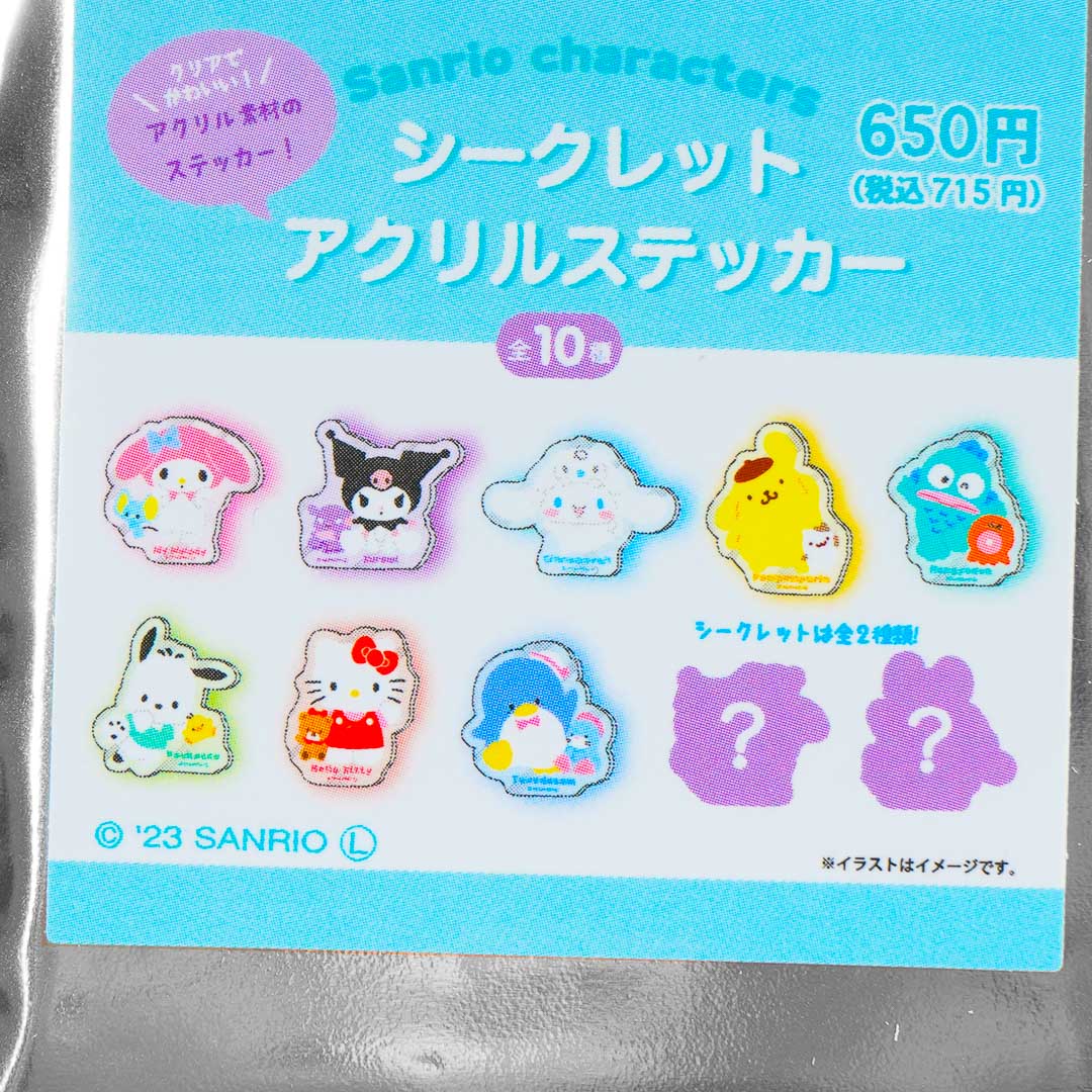 Sanrio Characters Little Friend Acrylic Sticker