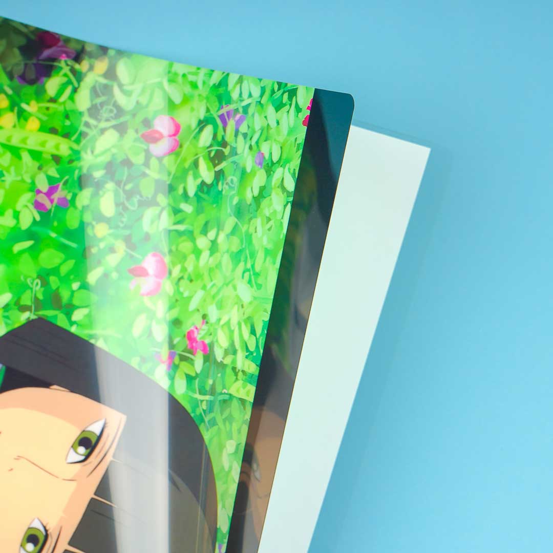Spirited Away A4 File Folder - Haku