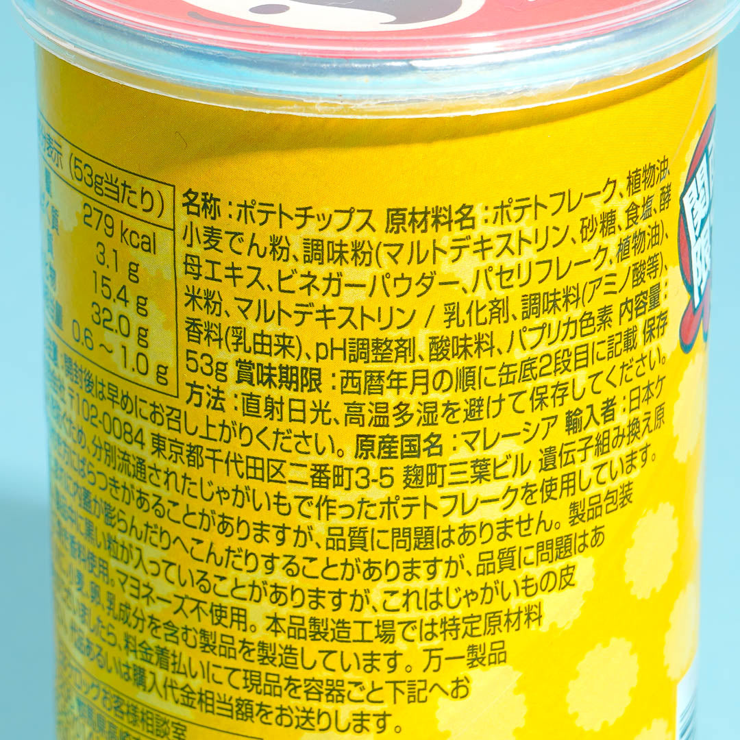 Pringles Potato Chips - Kansai Takoyaki