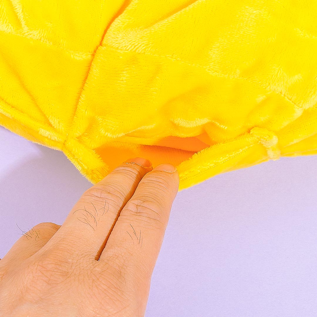 Pokemon Pikachu Tissue Case