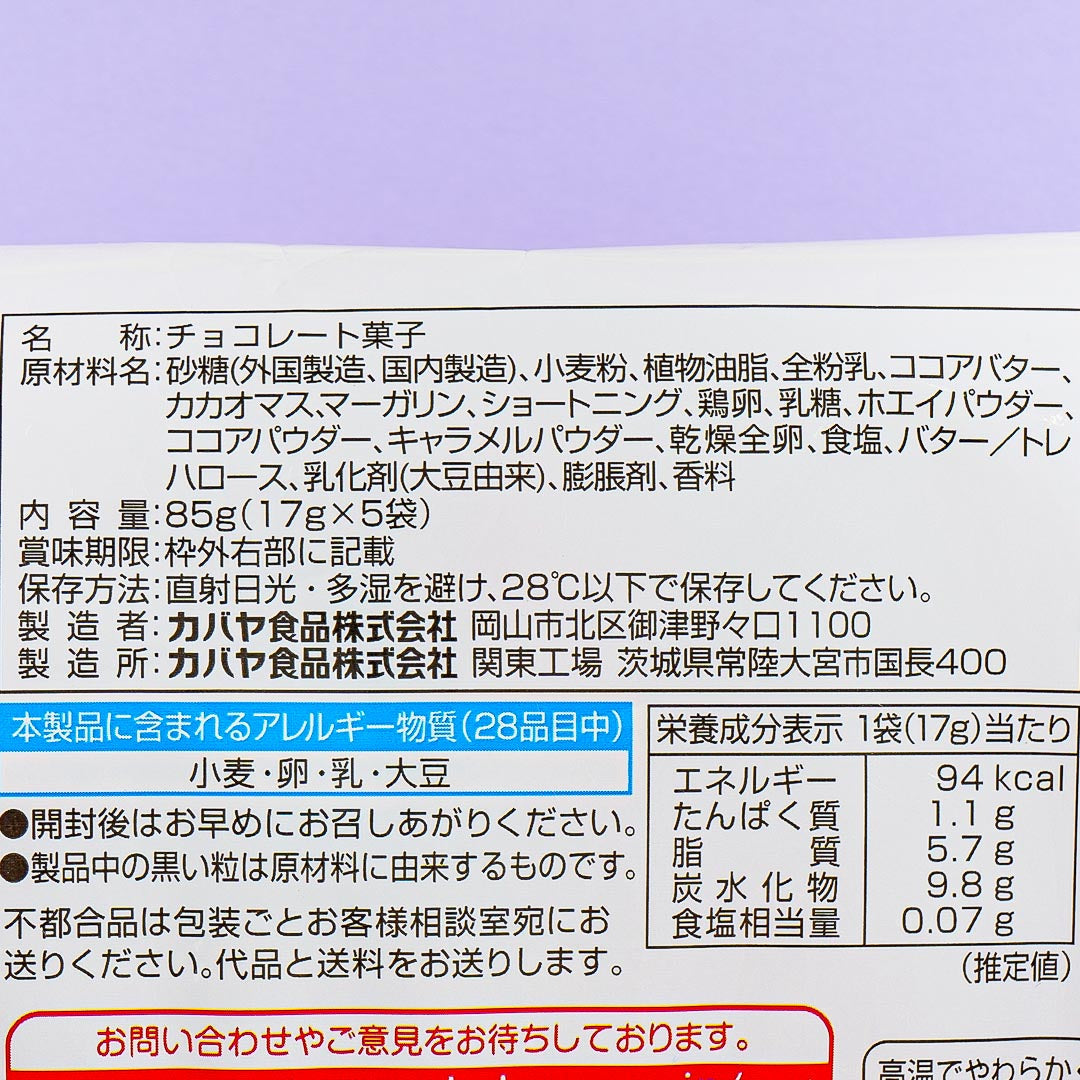 Saku Saku Panda Chocolate Biscuits Family Pack