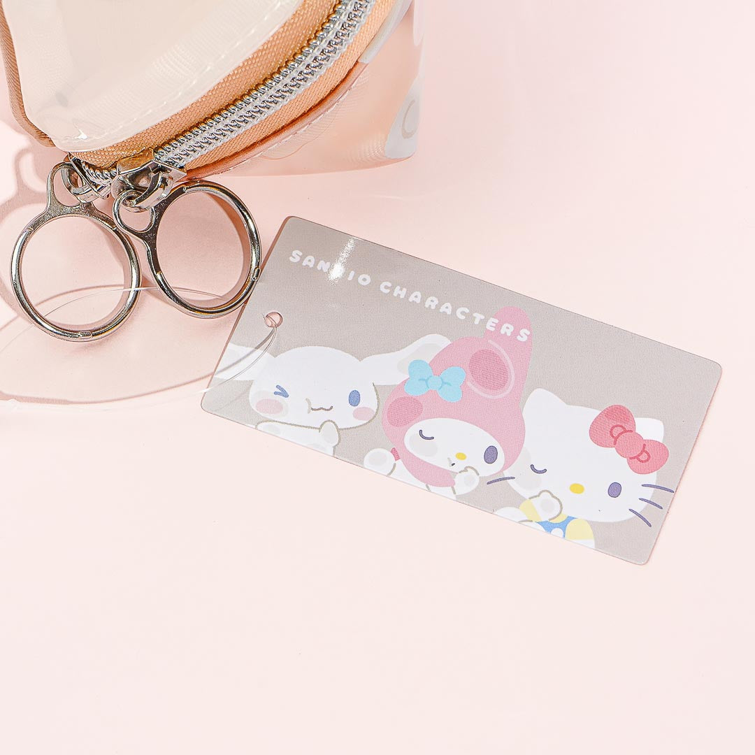 Sanrio Characters Wink Mesh Box Pencil Case