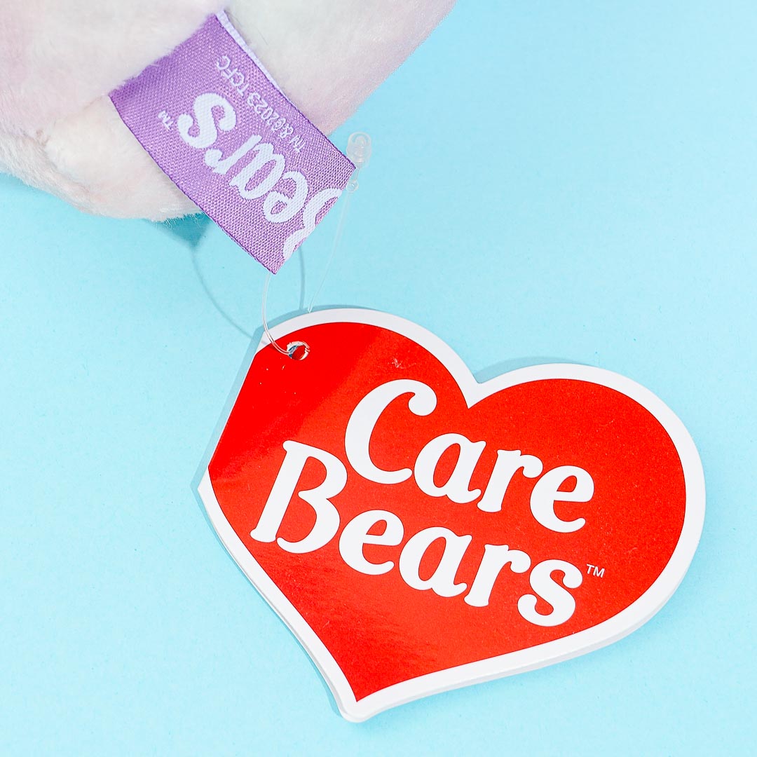Care Bears Happy Pouch - Togetherness Bear