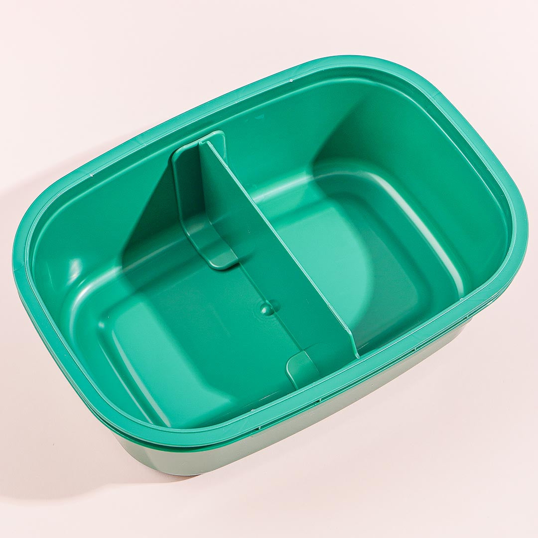 Minecraft Bento Box