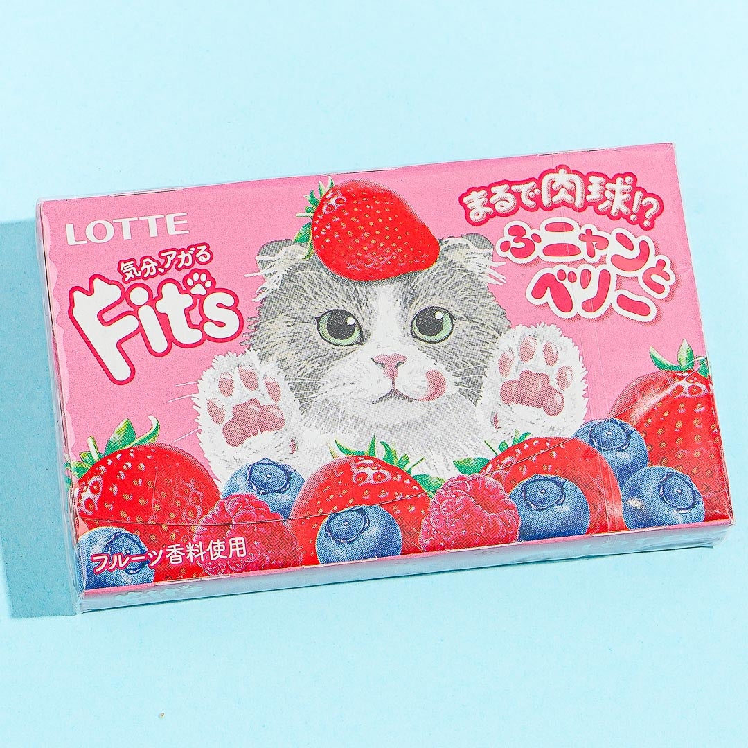 Lotte Fit's Funyan Gum - Mixed Berry