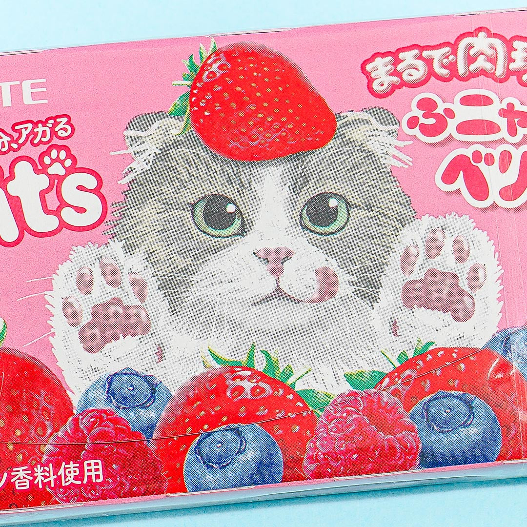 Lotte Fit's Funyan Gum - Mixed Berry