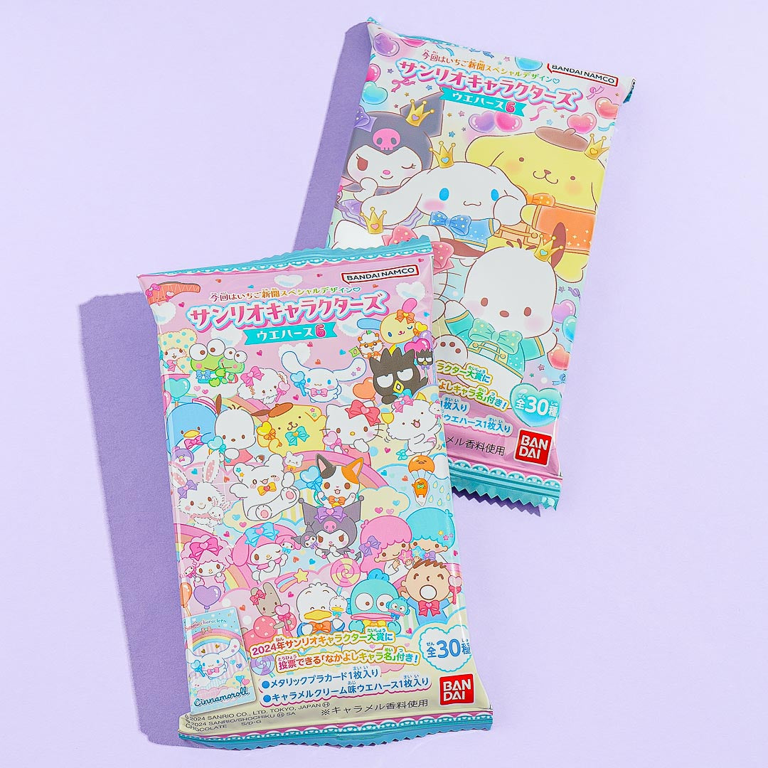 Sanrio Characters Wafer Vol. 6 With Card