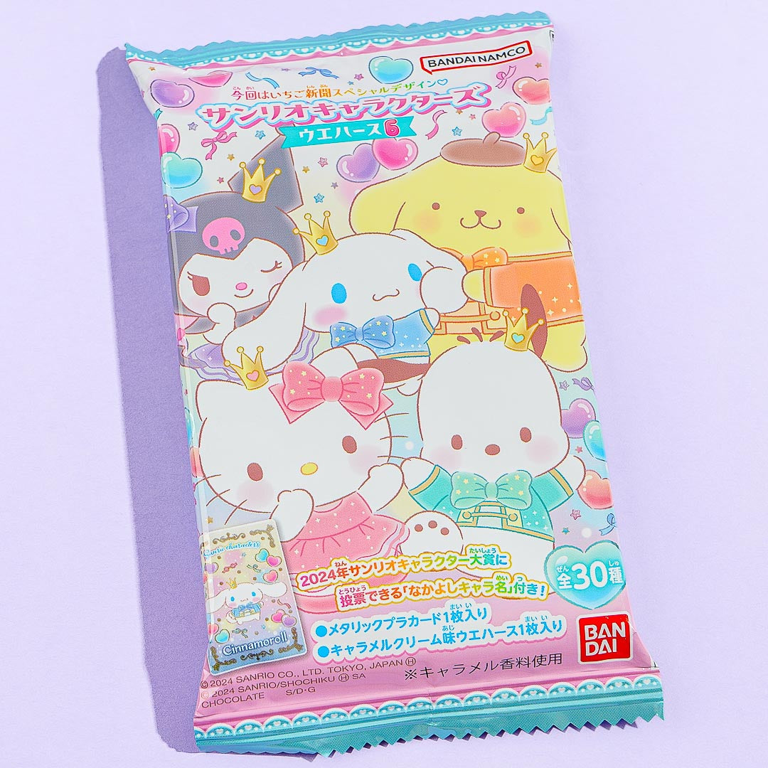 Sanrio Characters Wafer Vol. 6 With Card