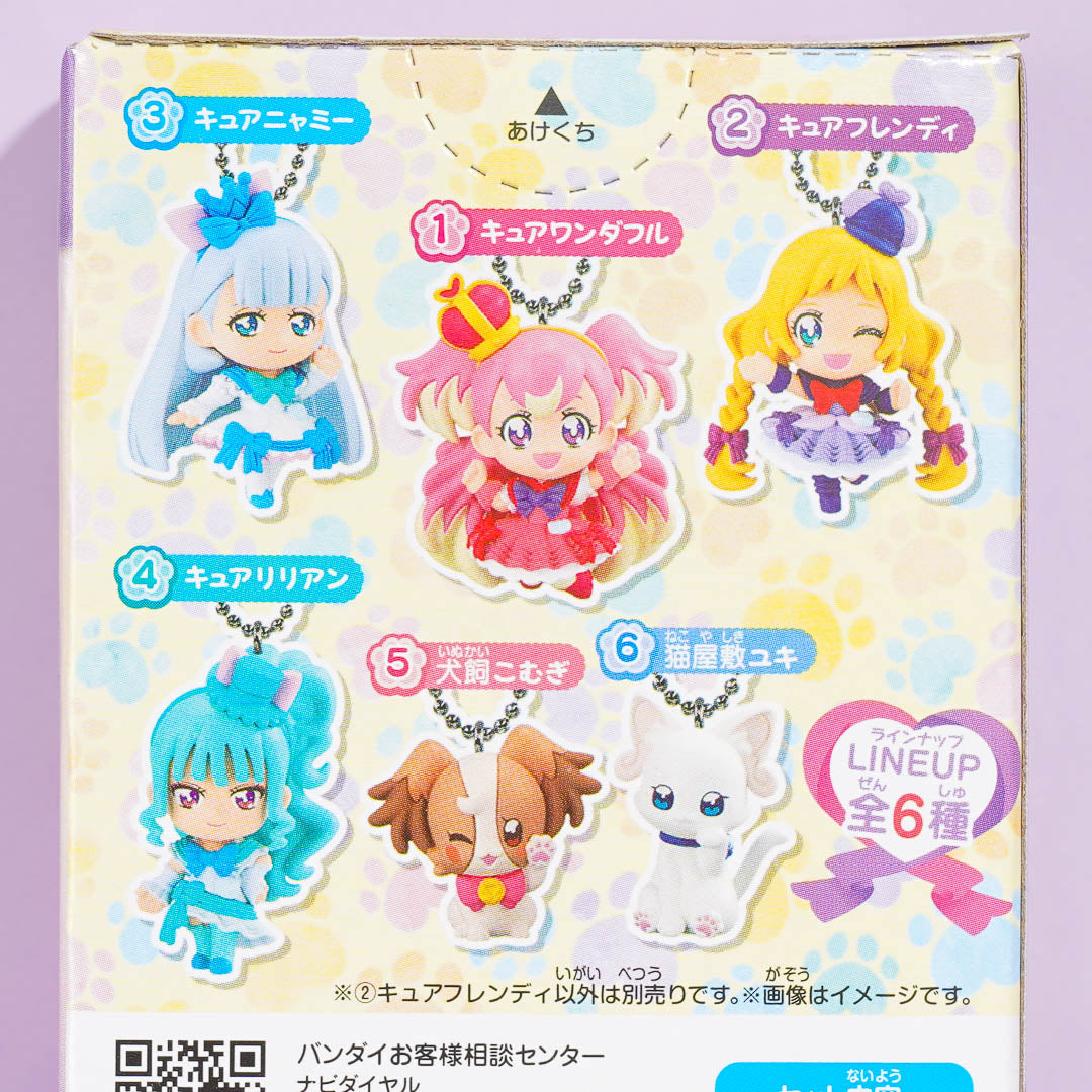 Wonderful Pretty Cure! Character Charm