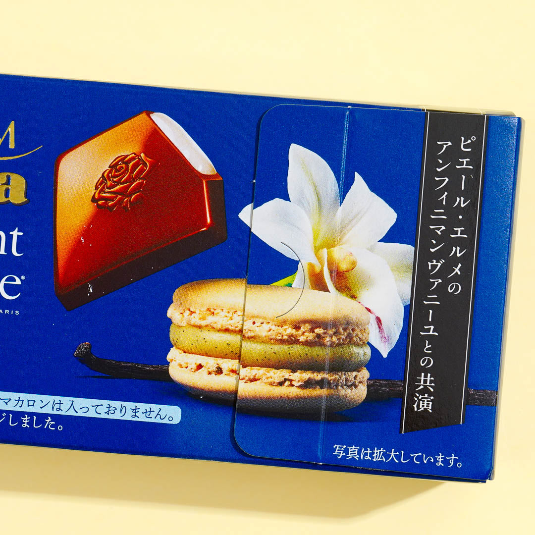 Lotte Premium Ghana Raw Infiniment Vanille Chocolate