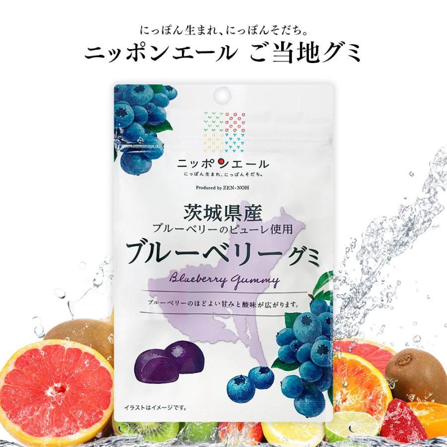 Nippon Ale Gummy - Ibaraki Blueberry