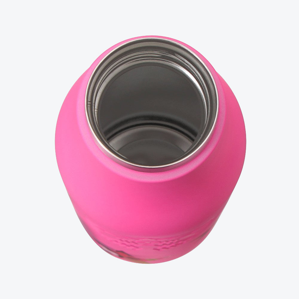 Starbucks Japan Holiday Neon Star Stainless Steel Bottle