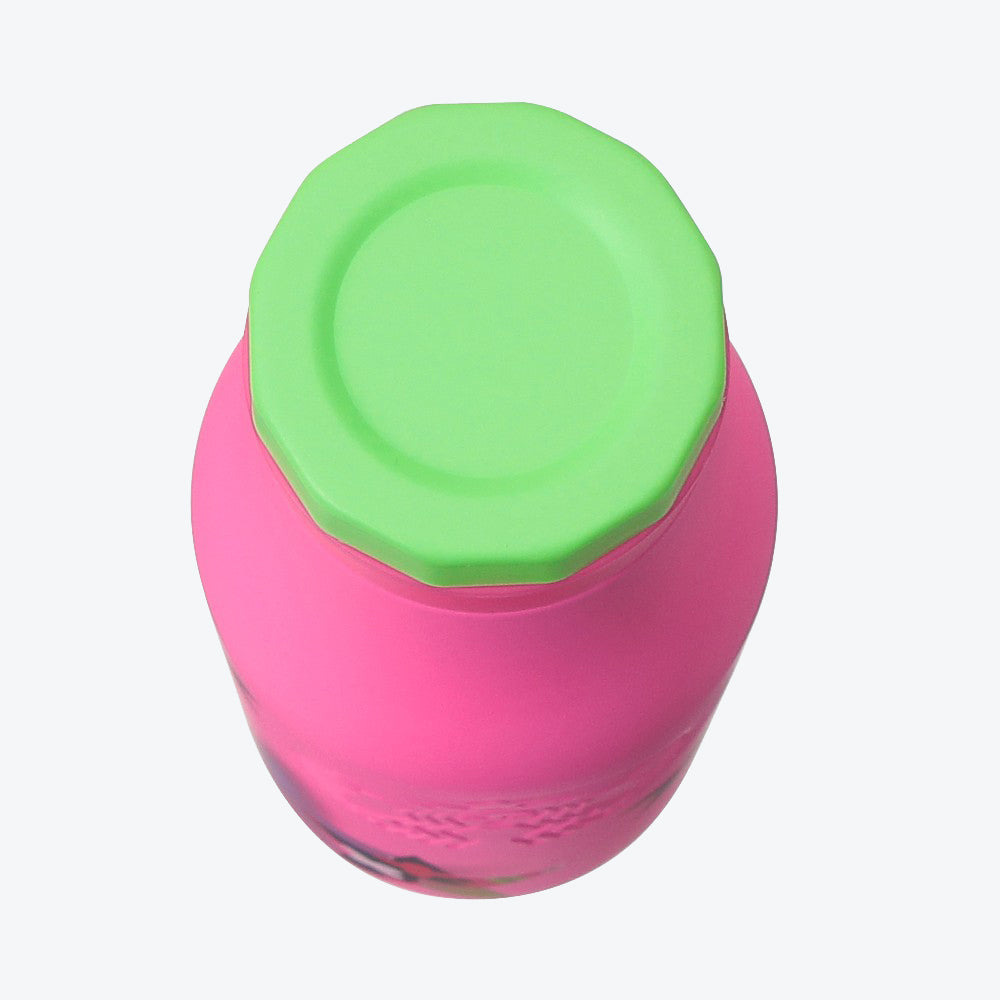 Starbucks Japan Holiday Neon Star Stainless Steel Bottle