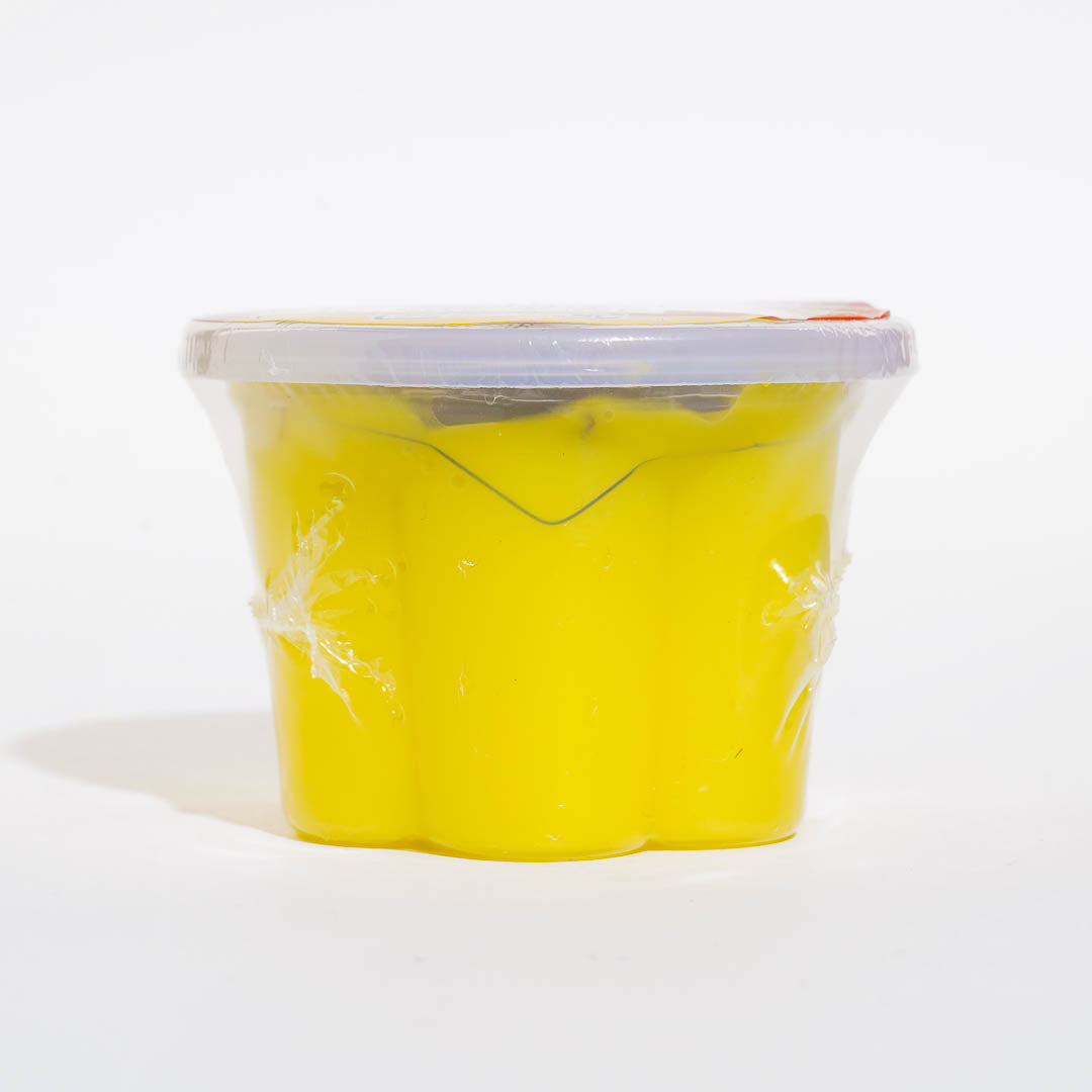 Jiggly Pudding Slime Toy
