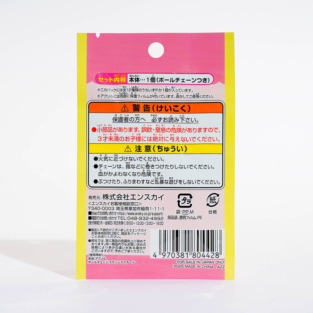 Chiikawa AcryMini Charm