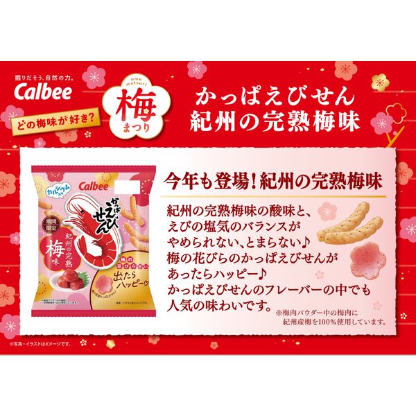 Calbee Kappa Ebisen Shrimp Snack - Kishu Ripe Plum