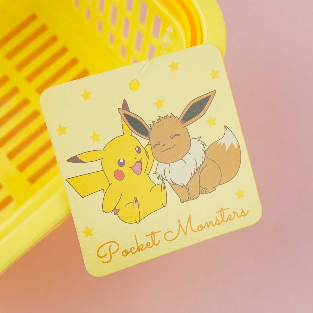 Pokemon Mini Basket - Pikachu & Eevee