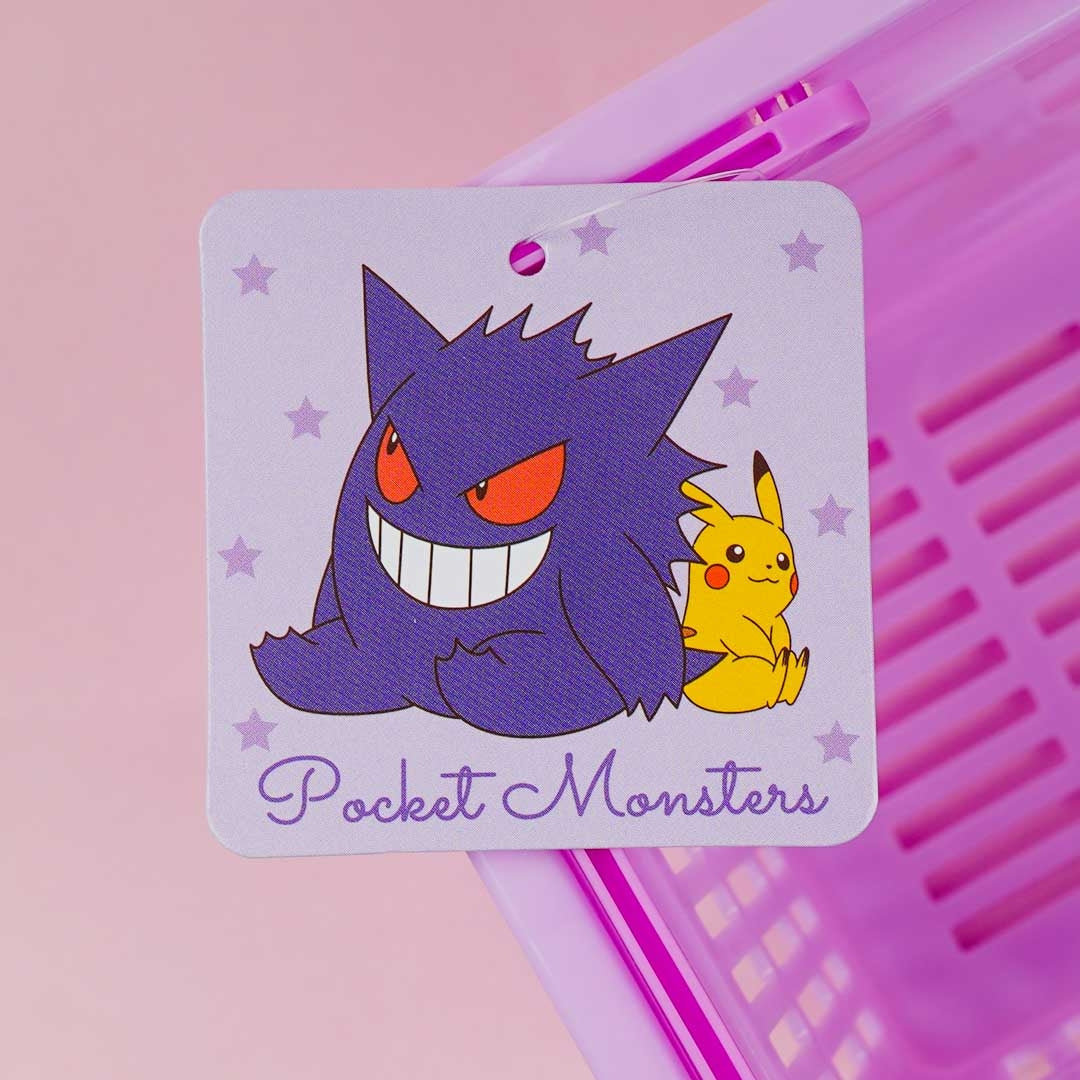 Pokemon Mini Basket - Pikachu & Gandar